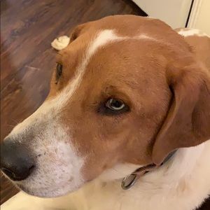 Meet your Posher, Stacey